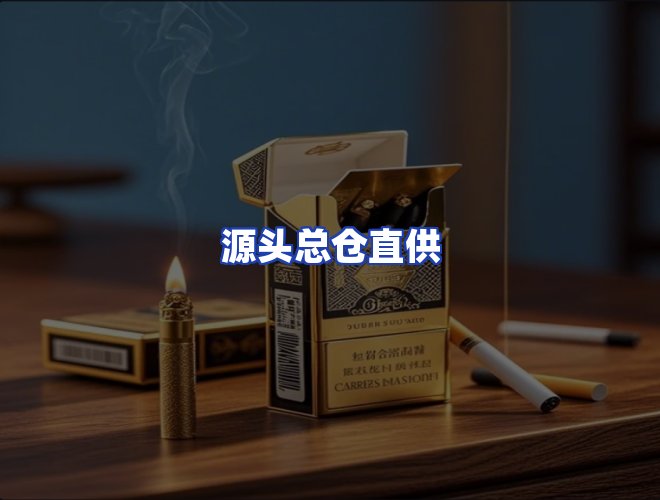 专业团队
